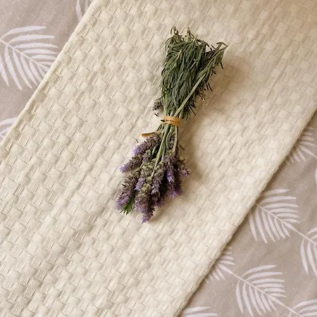 Casa America- Private Heated Pool- Sun & Solarium Experience